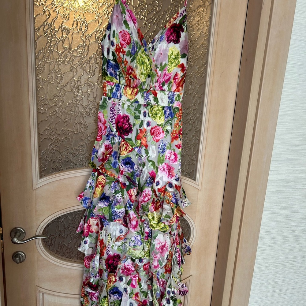 Alice+Olivia long dress (2)